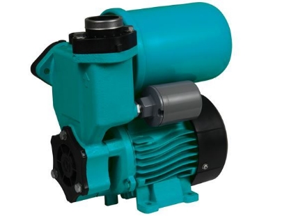 Picture of LEO Water Pump Peripheral 1/6 HP LOLKSM130