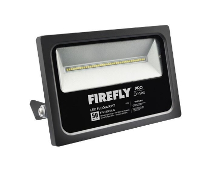 Picture of Firefly Led Floodlight FFL1010DL/G