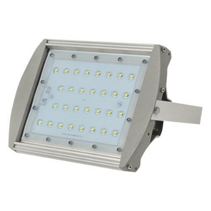 Picture of Firefly Led Floodlight EFL2030CW