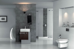Picture for category Sanitary Wares