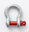 Picture of MAXLIFT SCREW PIN ANCHOR SHACKLES, LSPS-2T